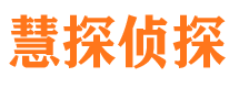 民丰侦探公司